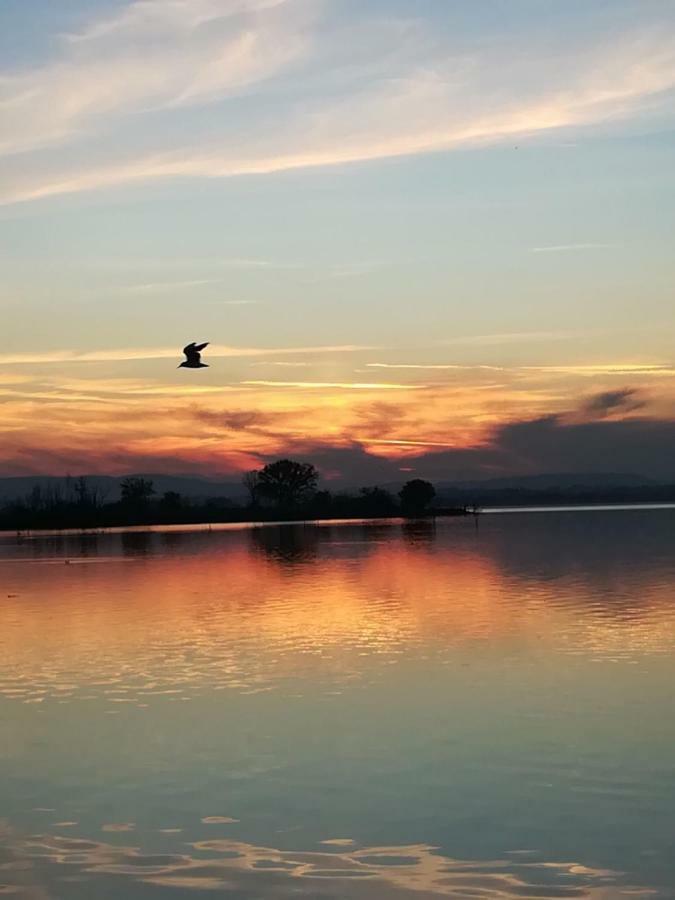 Casa Vacanze Trasimeno SantʼArcangelo Eksteriør bilde